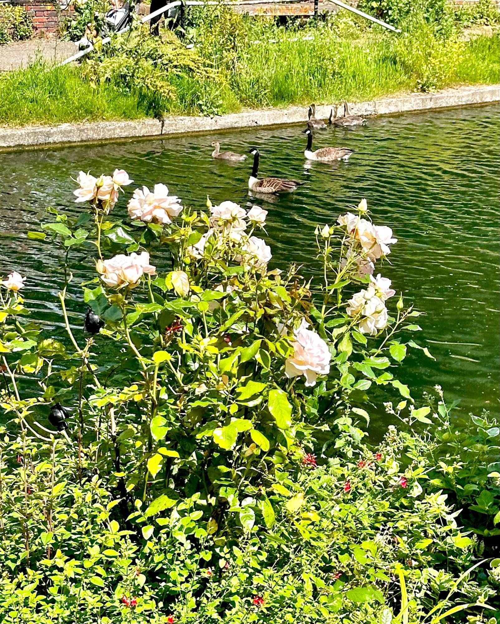 Amazing Location - City Of London- 2 Bedroom Stunning Canal View House With Private Garden,Parking & Balcony Extérieur photo
